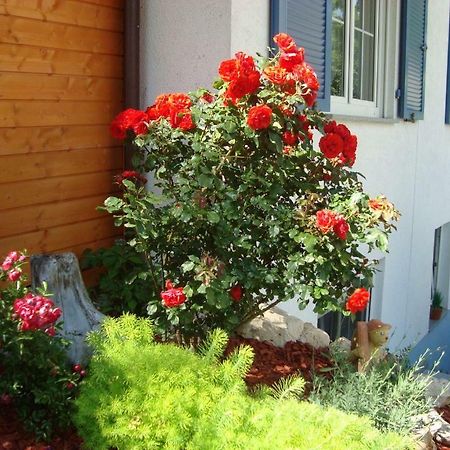 Ferienwohnung Weiser كريسبرون ام بوندنس المظهر الخارجي الصورة