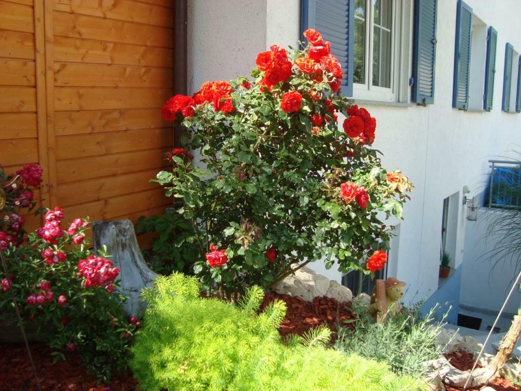 Ferienwohnung Weiser كريسبرون ام بوندنس المظهر الخارجي الصورة